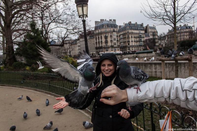 Парижские птицы